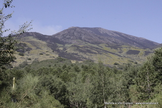rra delle Concazze-05-08-2014 11-07-040